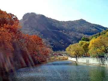 新澳天天开奖资料大全旅游团，男式鸭舌帽